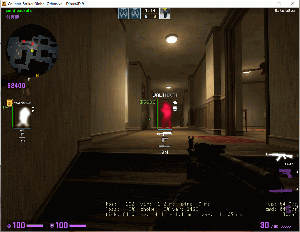 CSGO樱花5E方框单板透视