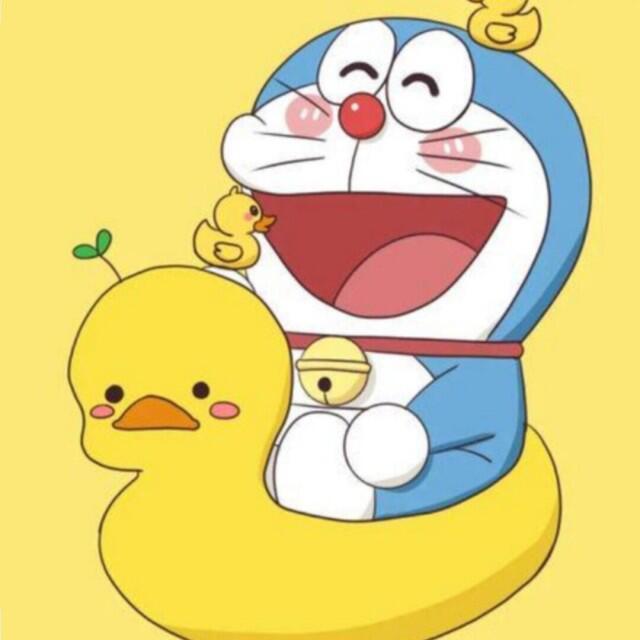 小强